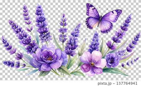 Illustration of butterflies and flowers on a white background. Illustration of butterflies and flowers on a white background. 137764941