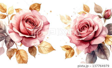 A beautiful bouquet of pink roses on a white background. A beautiful bouquet of pink roses on a white background. 137764979