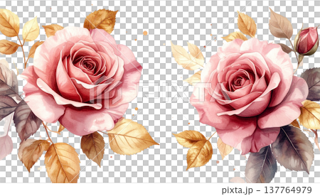 A beautiful bouquet of pink roses on a white background. A beautiful bouquet of pink roses on a white background. 137764979