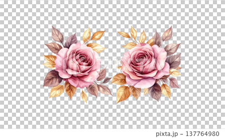 A beautiful bouquet of pink roses on a white background. 137764980