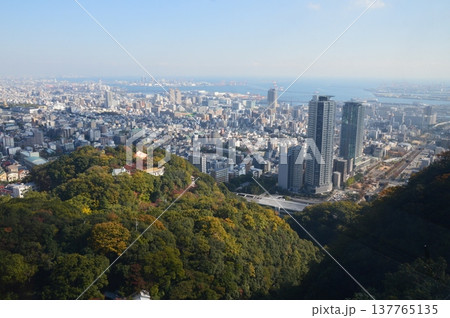 神戸の町並み(神戸布引ハーブ園/兵庫県神戸市中央区) 神戸の町並み(神戸布引ハーブ園/兵庫県神戸市中央区) 137765135