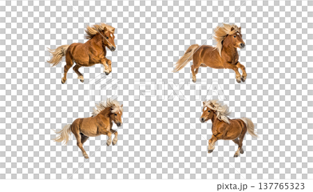 A cute horse and a foal on a white background. 137765323