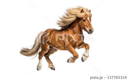 A cute horse and a foal on a white background. A cute horse and a foal on a white background. 137765324