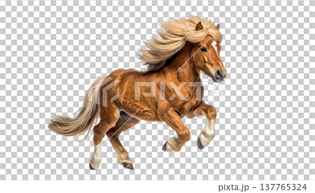 A cute horse and a foal on a white background. A cute horse and a foal on a white background. 137765324