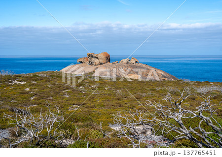 Remarkable Rocks in Flinders Chase National Park, Kangaroo Island, Australia 137765451