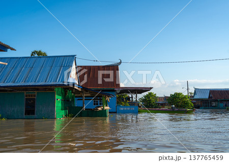 Traditional Bugis floating houses on Lake Tempe, Sulawesi, Indonesia Traditional Bugis floating houses on Lake Tempe, Sulawesi, Indonesia 137765459
