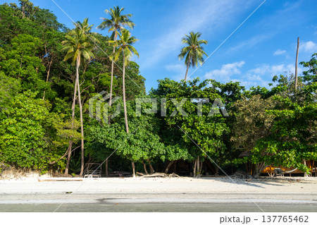 Paradise at Lia beach, Waleakodi Island, Togian archipelago, Sulawesi, Indonesia Paradise at Lia beach, Waleakodi Island, Togian archipelago, Sulawesi, Indonesia 137765462