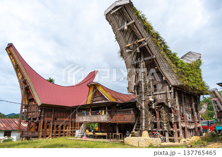 Traditional Toraja houses with buffalo horns, Sulawesi, Indonesia 137765465