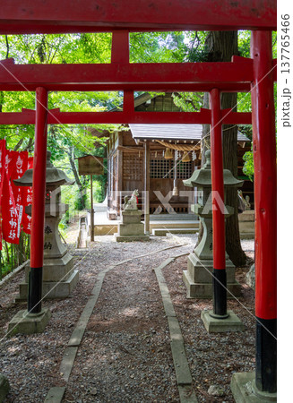 Torii gates at Nishikiyama Shrine in Takayama, Japan 137765466