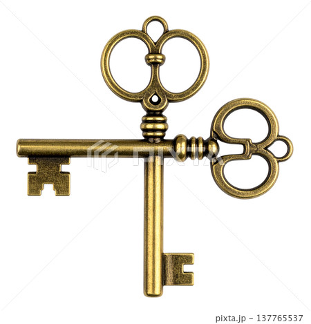 A gold metal house key on a white background. A gold metal house key on a white background. 137765537
