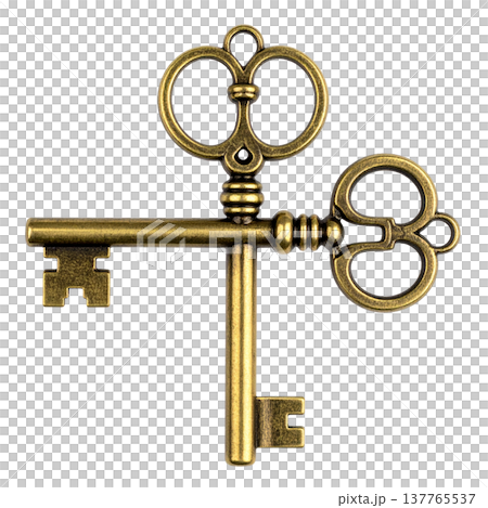 A gold metal house key on a white background. A gold metal house key on a white background. 137765537