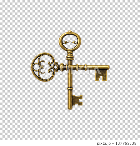 A gold metal house key on a white background. A gold metal house key on a white background. 137765539