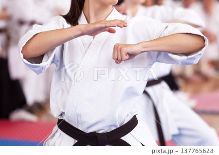 Female karate practitioner body position during training. Martial arts. 137765628
