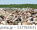 Municipal garbage dump at landfill. Environmental pollution. 137765631