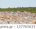 Plastic pollution in the environment 137765633