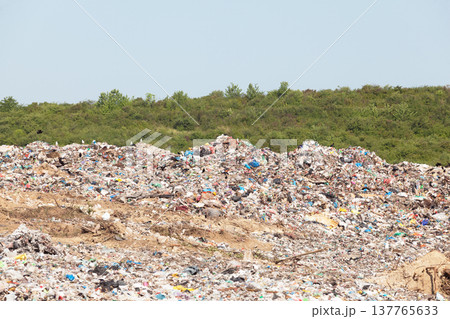 Plastic pollution in the environment 137765633