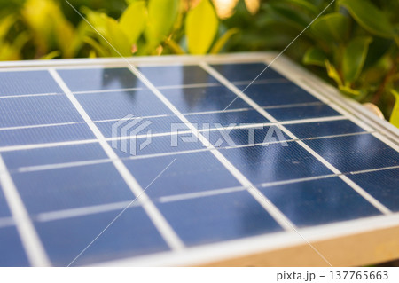 solar panel in the house garden 137765663