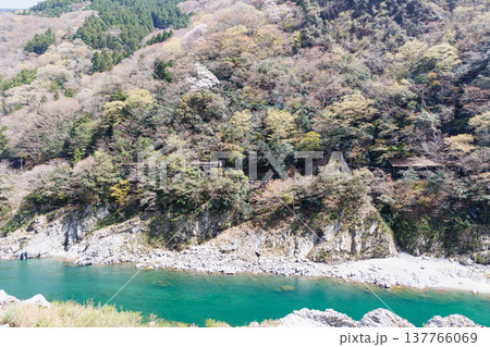 桜が咲く季節の大歩危小歩危の吉野川 桜が咲く季節の大歩危小歩危の吉野川 137766069