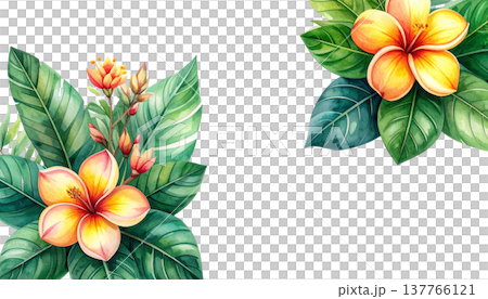 A seamless floral pattern, featuring striking bouquets of colorful summer garden flowers. A seamless floral pattern, featuring striking bouquets of colorful summer garden flowers. 137766121