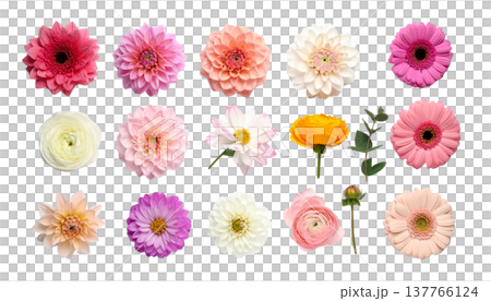 A seamless floral pattern, featuring striking bouquets of colorful summer garden flowers. 137766124