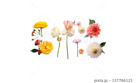 A seamless floral pattern, featuring striking bouquets of colorful summer garden flowers. 137766125