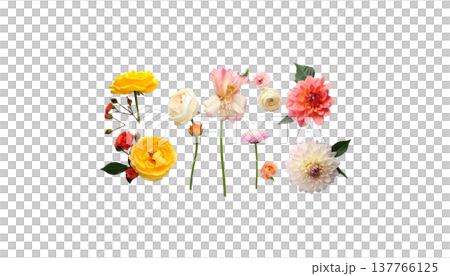 A seamless floral pattern, featuring striking bouquets of colorful summer garden flowers. 137766125
