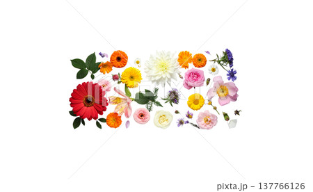 A seamless floral pattern, featuring striking bouquets of colorful summer garden flowers. A seamless floral pattern, featuring striking bouquets of colorful summer garden flowers. 137766126