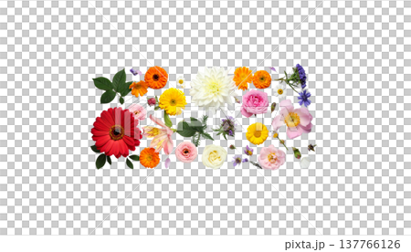 A seamless floral pattern, featuring striking bouquets of colorful summer garden flowers. A seamless floral pattern, featuring striking bouquets of colorful summer garden flowers. 137766126