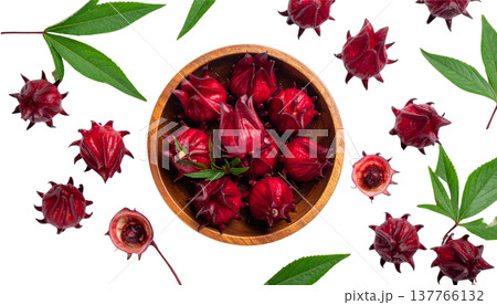 rose petals and leaves of rose petals rose petals and leaves of rose petals 137766132