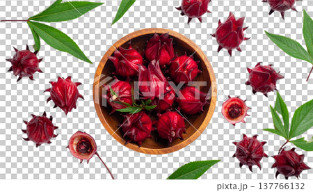 rose petals and leaves of rose petals rose petals and leaves of rose petals 137766132