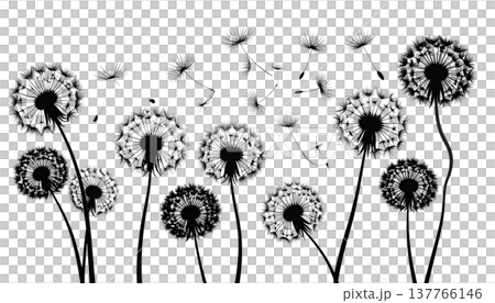 A macro illustration of a fluffy dandelion with scattered seeds, isolated against a white background. A macro illustration of a fluffy dandelion with scattered seeds, isolated against a white background. 137766146