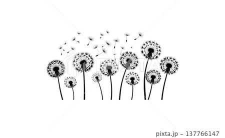 A macro illustration of a fluffy dandelion with scattered seeds, isolated against a white background. A macro illustration of a fluffy dandelion with scattered seeds, isolated against a white background. 137766147