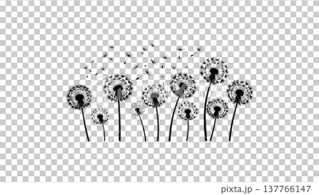 A macro illustration of a fluffy dandelion with scattered seeds, isolated against a white background. A macro illustration of a fluffy dandelion with scattered seeds, isolated against a white background. 137766147