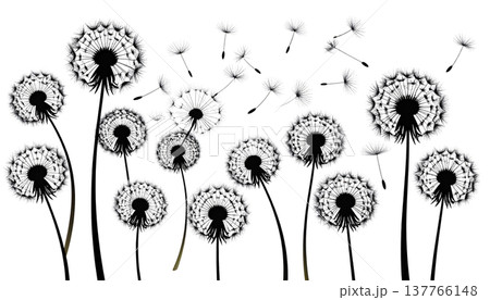 A macro illustration of a fluffy dandelion with scattered seeds, isolated against a white background. 137766148