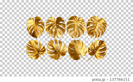 round frame made of leaves round frame made of leaves 137766151
