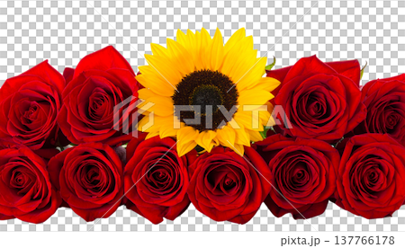 bouquet of red roses 137766178