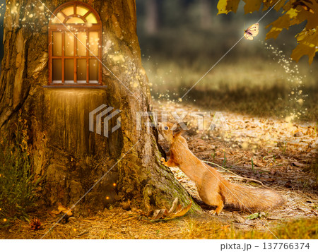 Squirrel near Fantasy house in pine tree with window, magical fairy tale Forest with cute animal. 137766374