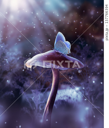 Fantasy mushroom and blue butterfly in enchanted fairy tale dreamy forest, fairytale deep dark wood Fantasy mushroom and blue butterfly in enchanted fairy tale dreamy forest, fairytale deep dark wood 137766394