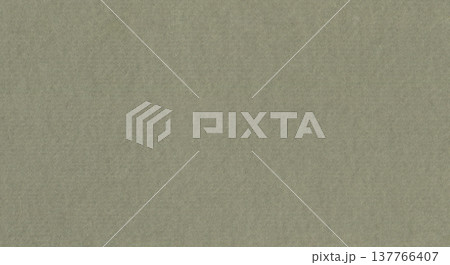 Gray paper texture background. Recycled kraft cardboard. Beige canvas with small speckles. Rectangle textured sheet. Vintage grunge paper backdrop Gray paper texture background. Recycled kraft cardboard. Beige canvas with small speckles. Rectangle textured sheet. Vintage grunge paper backdrop 137766407