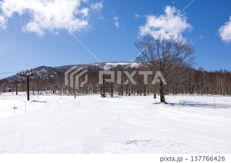 長野県、冬の奥志賀高原の雪景色 長野県、冬の奥志賀高原の雪景色 137766426