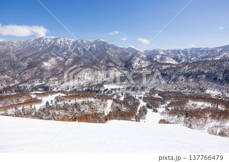 長野県、冬の志賀高原の雪景色 長野県、冬の志賀高原の雪景色 137766479