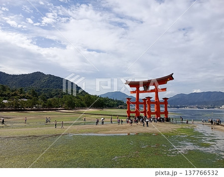 厳島神社(広島/宮島) 厳島神社(広島/宮島) 137766532