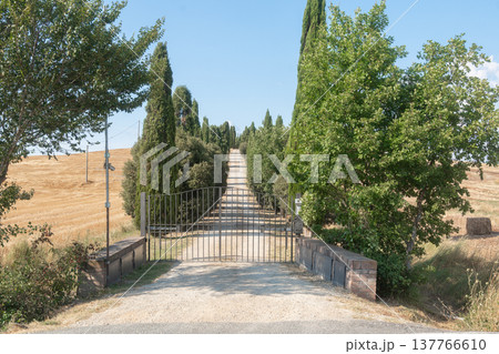 Rural entrance road with gate surrounded by trees and farmland. Scene supports real estate marketing, countryside lifestyle visuals, regional travel content Rural entrance road with gate surrounded by trees and farmland. Scene supports real estate marketing, countryside lifestyle visuals, regional travel content 137766610