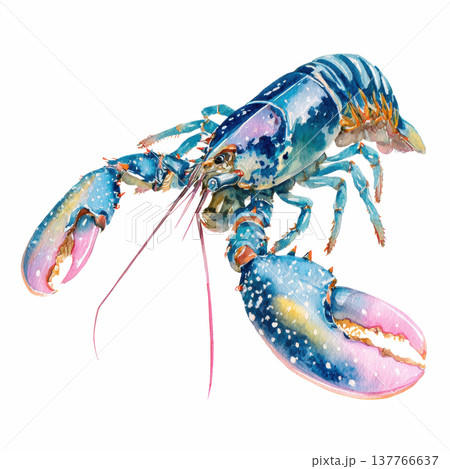 Watercolor blue lobster animal clip art illustration isolated on white background 137766637