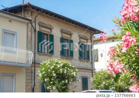 Traditional European house facade decorated with vibrant blossoms. Sunny urban scene reflecting lifestyle and southern charm. Traditional European house facade decorated with vibrant blossoms. Sunny urban scene reflecting lifestyle and southern charm. 137766663