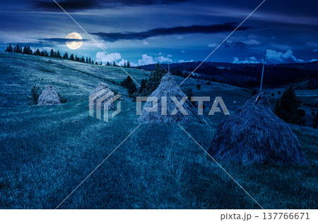wonderful haystacks in a row on a grassy hay field at night. full moon over beautiful rural scenery with pasture in summer. mysterious agriculture landscape with rolling hills under cloudy sky wonderful haystacks in a row on a grassy hay field at night. full moon over beautiful rural scenery with pasture in summer. mysterious agriculture landscape with rolling hills under cloudy sky 137766671