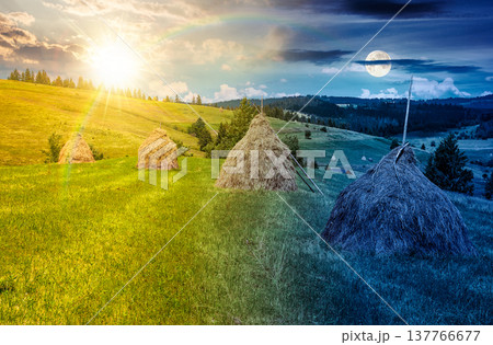 wonderful haystacks in a row on grassy hay field. day meet night. sun and moon over beautiful rural scenery with pasture in summer. traditional agriculture landscape with rolling hills under epic sky wonderful haystacks in a row on grassy hay field. day meet night. sun and moon over beautiful rural scenery with pasture in summer. traditional agriculture landscape with rolling hills under epic sky 137766677