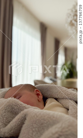 Peaceful newborn baby sleeping under soft blanket at home. Tender moment of early childhood and parental care. Concept of newborn comfort, calm sleep and family lifestyle. 137766709