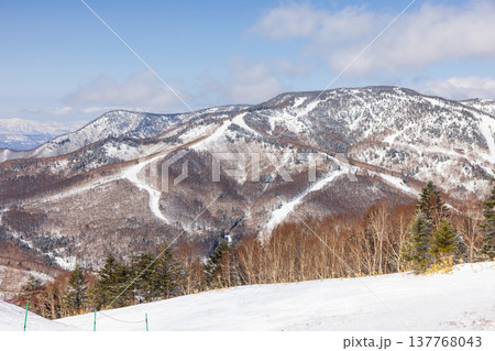 長野県、冬の志賀高原の雪景色 137768043