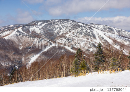 長野県、冬の志賀高原の雪景色 長野県、冬の志賀高原の雪景色 137768044